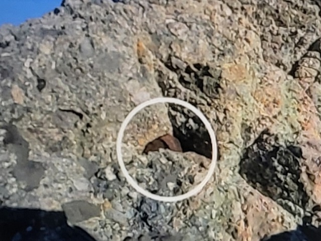 큰 바위틈 처트(규칠암)